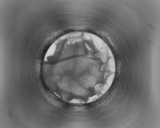 X0000111240495200908131148