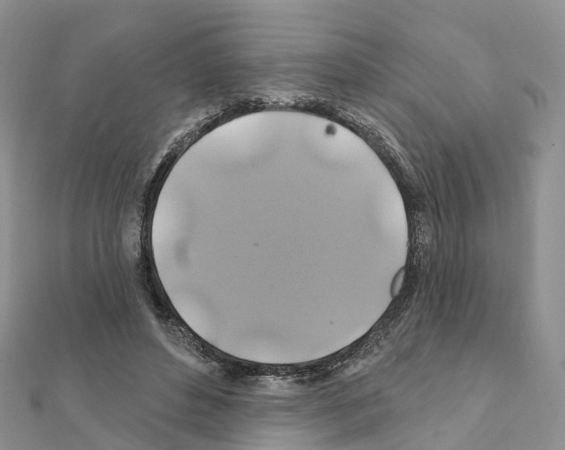 X0000111240496200908131148