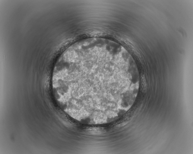 X0000111240499200908131148