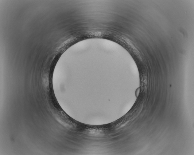 X0000111240500200908131148