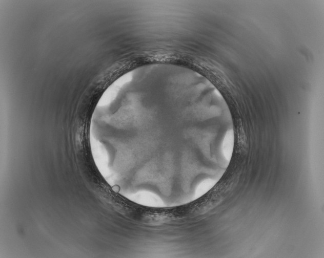 X0000111240503200908131148