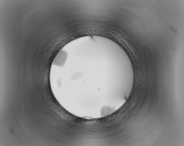 X0000111240505200908131148