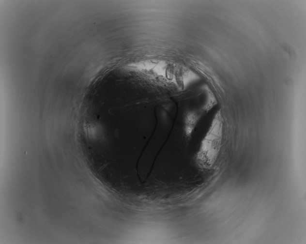 X0000111240509200908131148