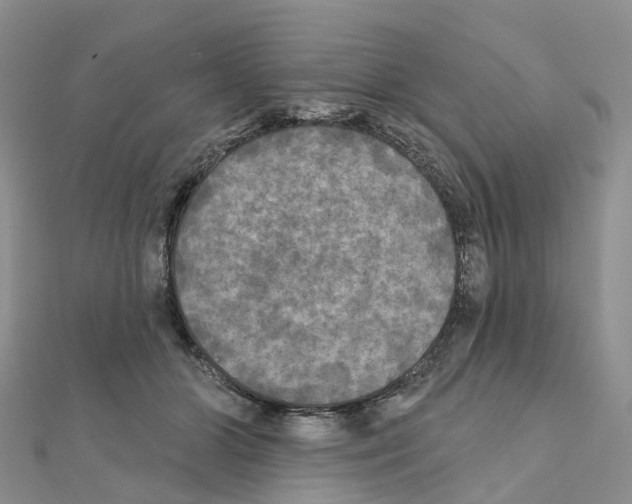 X0000111240510200908131148