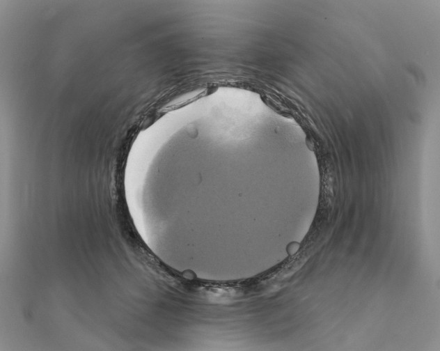 X0000111240512200908131148