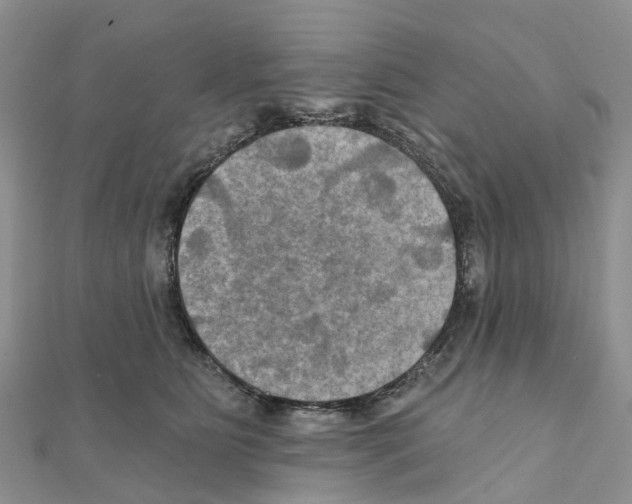 X0000111240515200908131148