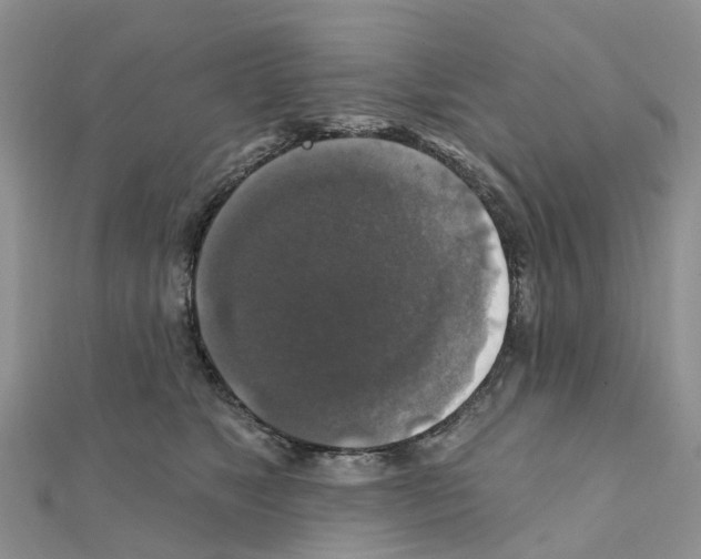X0000111240517200908131148