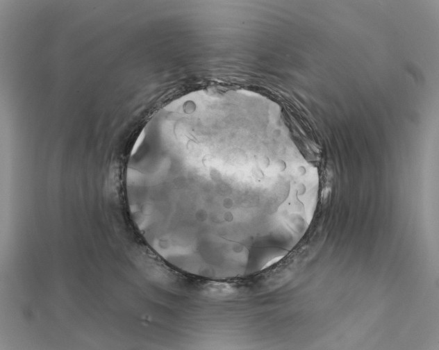 X0000111240519200908131148