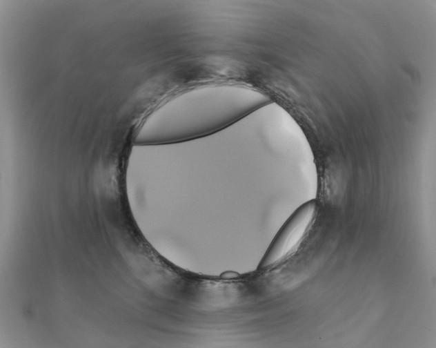 X0000111240520200908131148