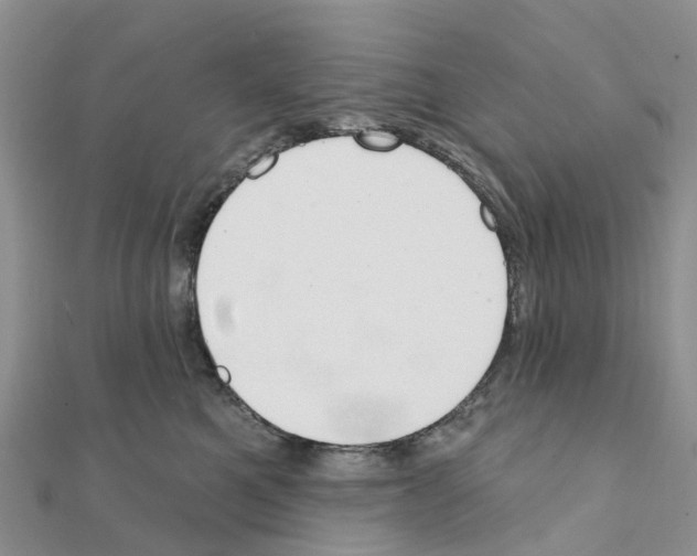 X0000111240521200908131148