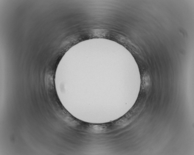X0000111240522200908131148