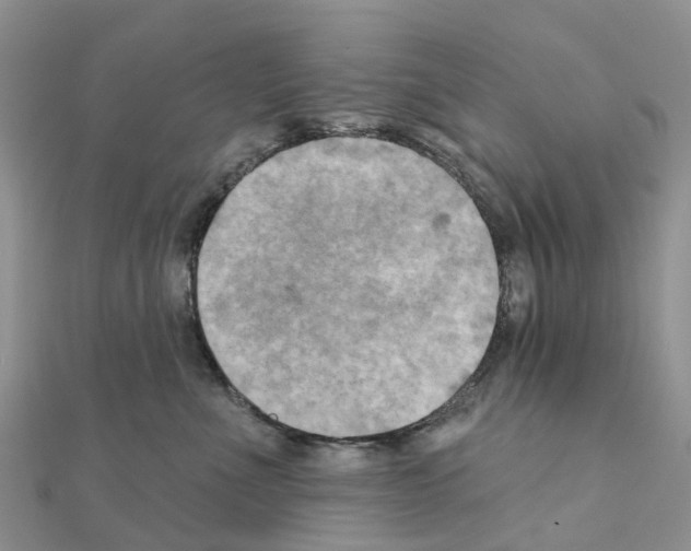 X0000111240523200908131148
