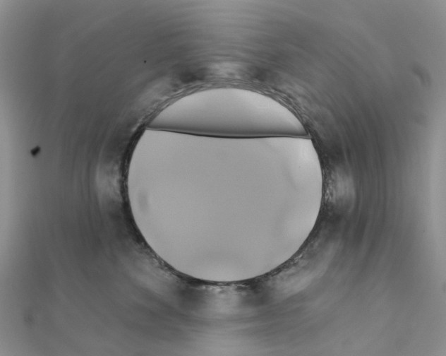 X0000111240524200908131148