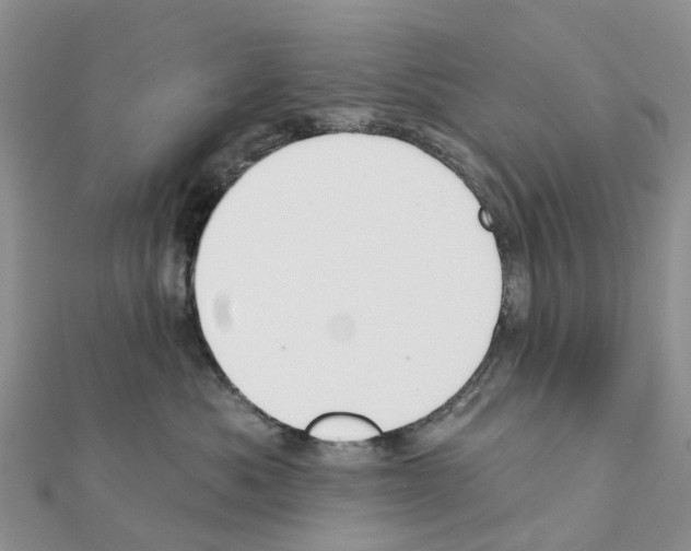 X0000111240525200908131148