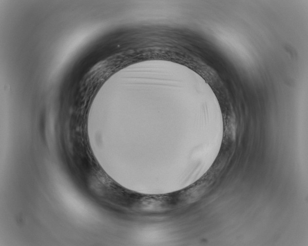 X0000111240526200908131147
