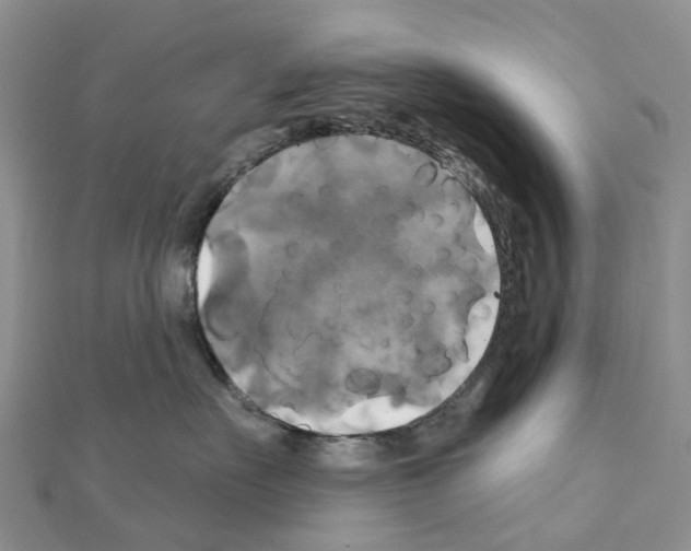 X0000111240527200908131147