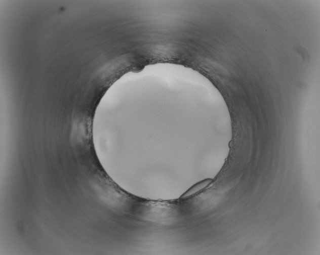 X0000111240528200908131147