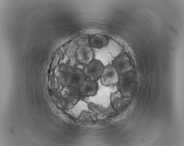 X0000111240529200908131147