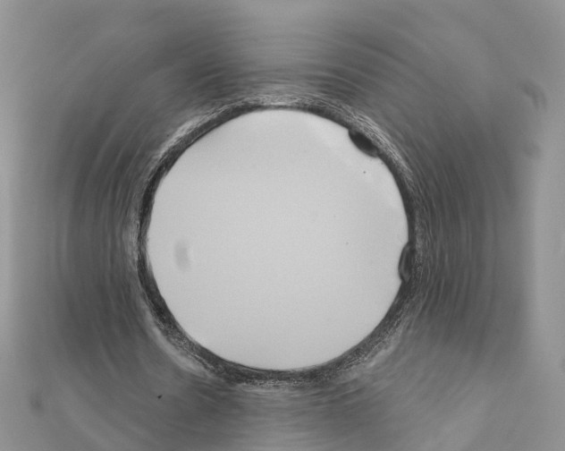 X0000111240530200908131147