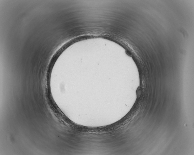 X0000111240532200908131147