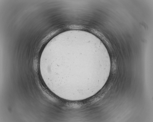 X0000111240533200908131147
