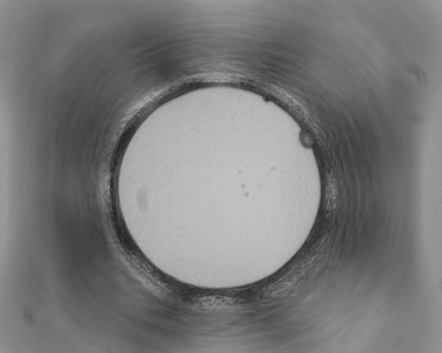 X0000111240535200908131147