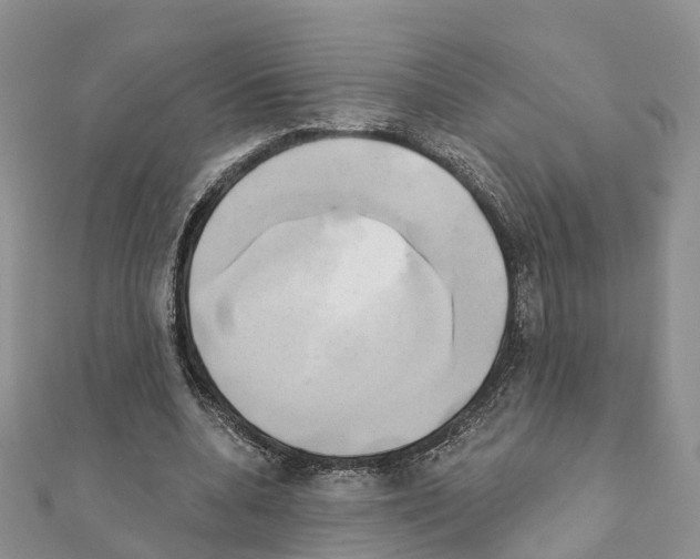 X0000111240536200908131147