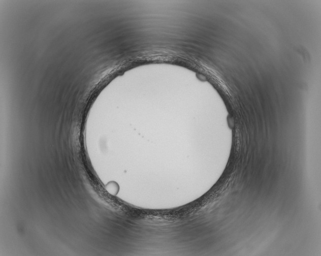 X0000111240538200908131147