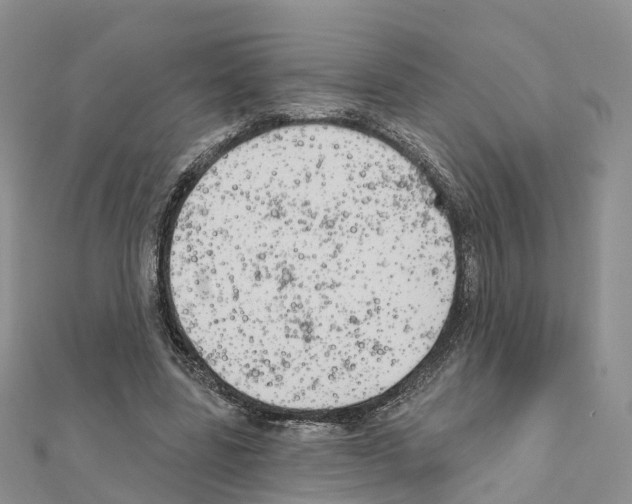 X0000111240539200908131147