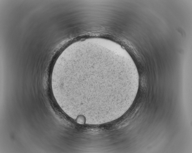 X0000111240540200908131147