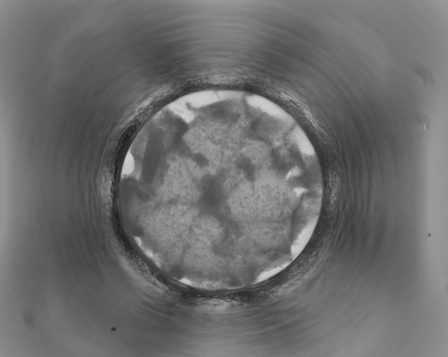 X0000111240542200908131147