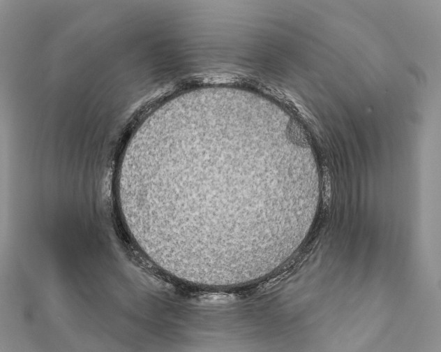 X0000111240543200908131147