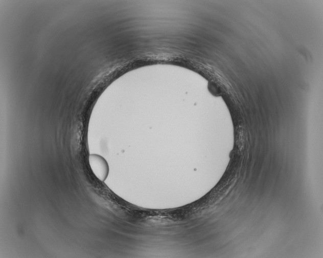 X0000111240544200908131147