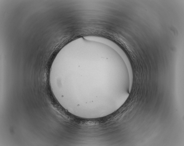 X0000111240546200908131147