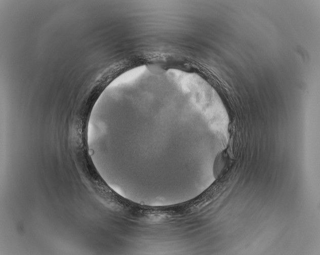 X0000111240547200908131147