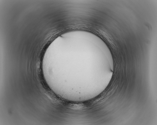 X0000111240548200908131147