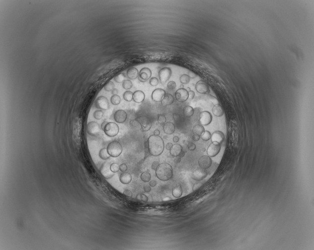 X0000111240550200908131147