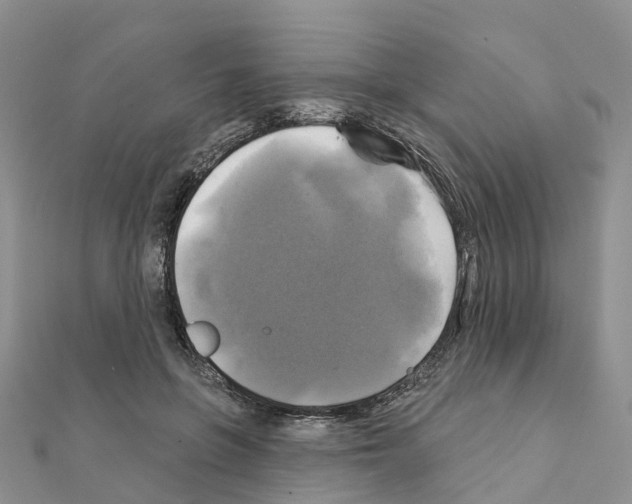 X0000111240551200908131147