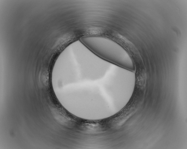 X0000111240552200908131147