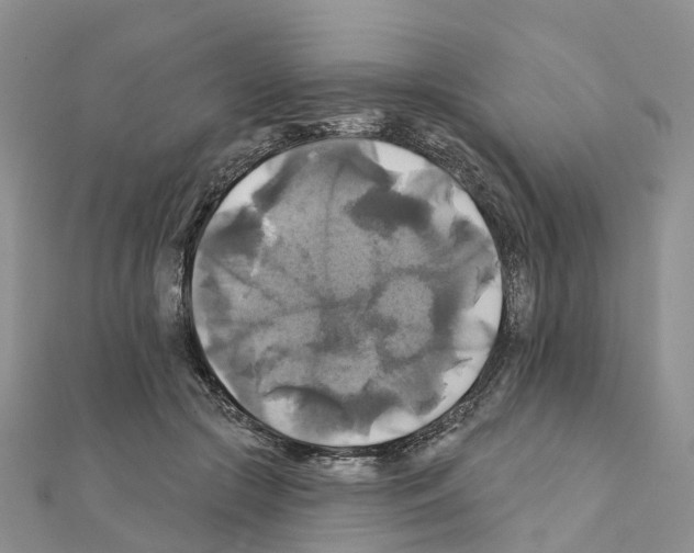 X0000111240553200908131147