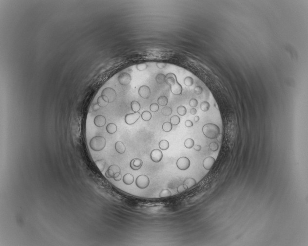 X0000111240554200908131147