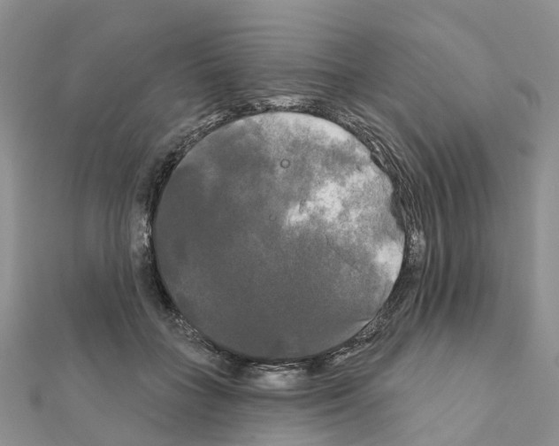 X0000111240555200908131147