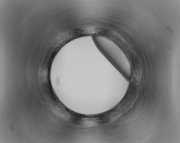 X0000111240556200908131147