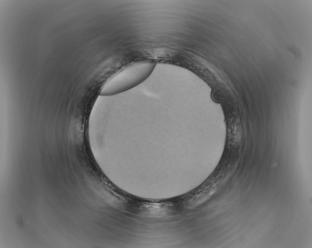 X0000111240558200908131147