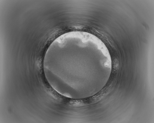 X0000111240559200908131147