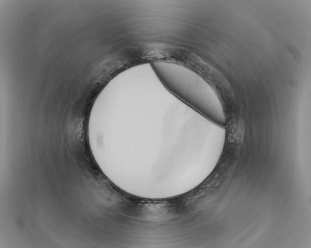 X0000111240560200908131147
