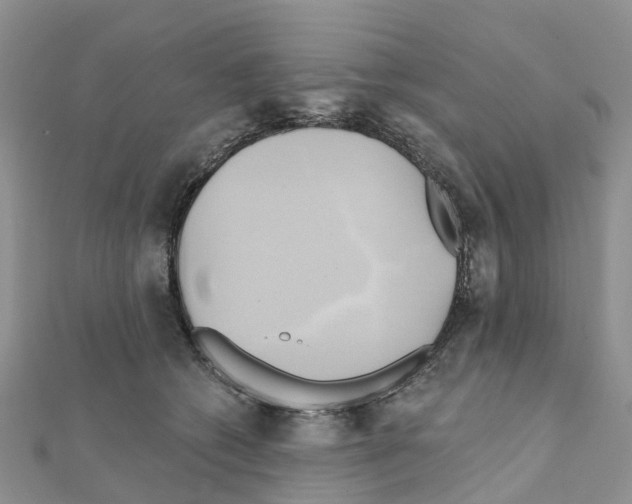 X0000111240562200908131147