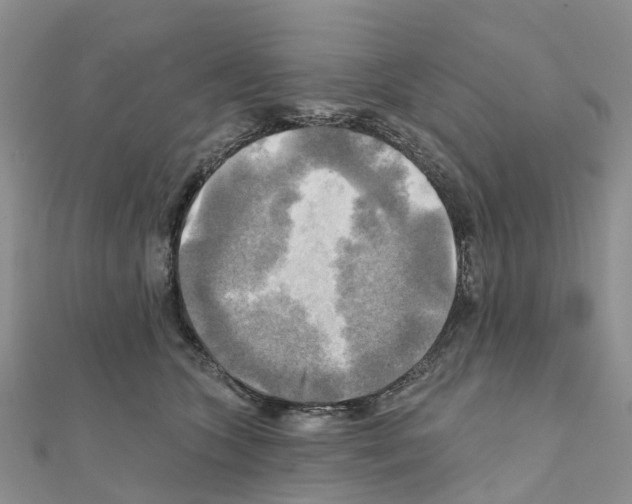 X0000111240563200908131147