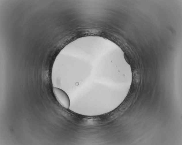 X0000111240564200908131147