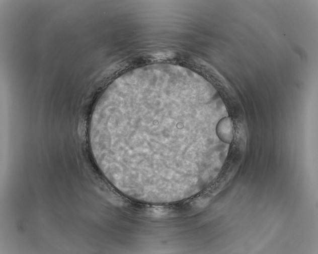 X0000111240565200908131147